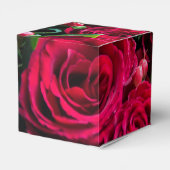 Ballotins Roses rouges (Arrière)