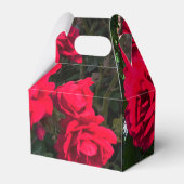 Ballotins Roses rouges en fleurs (Arrière)