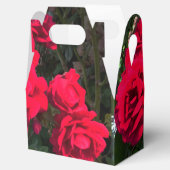 Ballotins Roses rouges en fleurs (Ouvert)