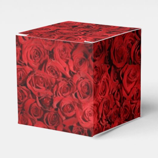 Ballotins Roses Rouges Fracassent (Verso)