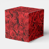 Ballotins Roses Rouges Fracassent (Arrière)