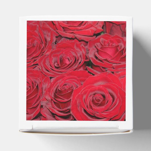 Ballotins Roses rouges vibrantes (Haut)