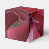 Ballotins Rouge d'automne (Arrière)