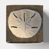 Ballotins Sable Dollar Seashell Party Favoriser boîte cadeau (Haut)