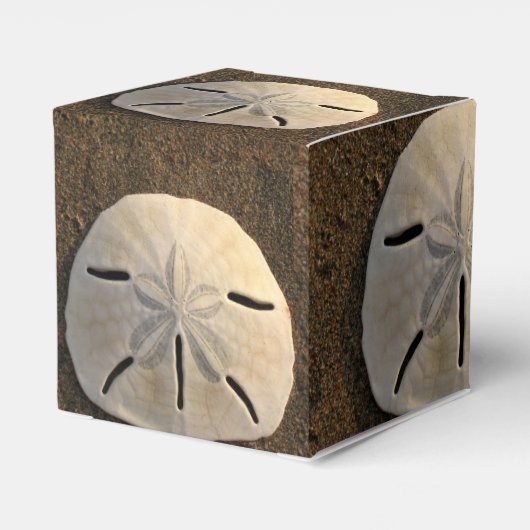 Ballotins Sable Dollar Seashell Party Favoriser boîte cadeau (Arrière)