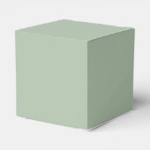 Ballotins Sage Green Nom Moderne Élégant Monogramme Boho (Arrière)