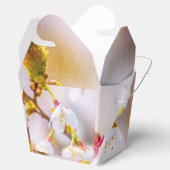 Ballotins Sakura - Fleur de cerisier japonaise (Ouvert)