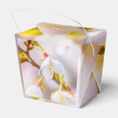 Ballotins Sakura - Fleur de cerisier japonaise (Arrière)