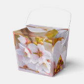 Ballotins Sakura - Fleur de cerisier japonaise (Verso)
