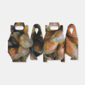 Ballotins Salak [Fruit de serpent] (Déplié)