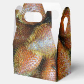 Ballotins Salak [Fruit de serpent] (Ouvert)