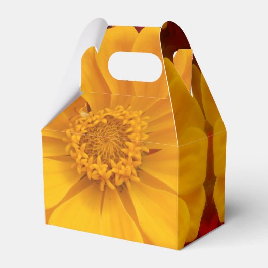 Ballotins Sartain (Arrière)