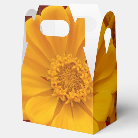 Ballotins Sartain (Ouvert)