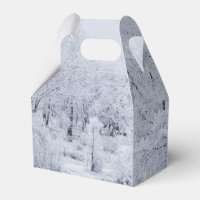 Scène hivernale neigeuse