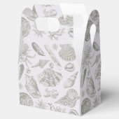 Ballotins Seashell Soft Antique Art Beach Shops (Ouvert)