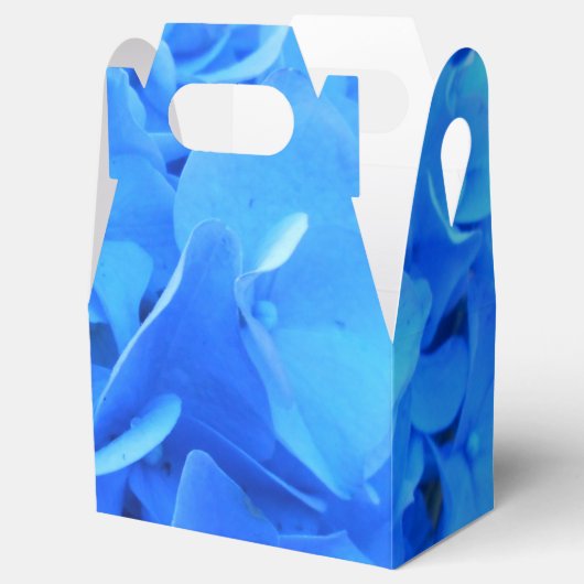 Ballotins Sérapine (Ouvert)