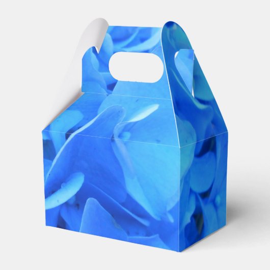 Ballotins Sérapine (Verso)