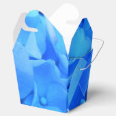 Ballotins Sérapine (Ouvert)