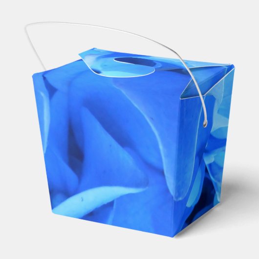 Ballotins Sérapine (Arrière)