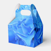 Ballotins Sérapine (Arrière)