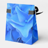 Ballotins Sérapine (Arrière)