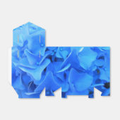 Ballotins Sérapine (Déplié)