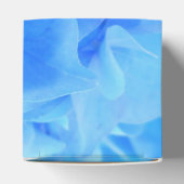 Ballotins Sérapine (Haut)