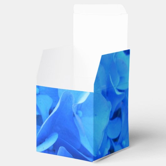 Ballotins Sérapine (Ouvert)