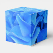 Ballotins Sérapine (Arrière)