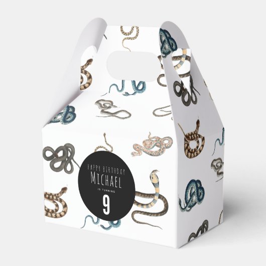Ballotins Serpents colorés Reptile Animal fête d'anniversair (Verso)