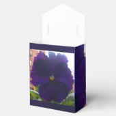 Ballotins Sibylla (Ouvert)