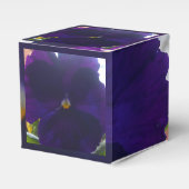 Ballotins Sibylla (Verso)