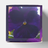 Ballotins Sibylla (Haut)