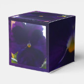 Ballotins Sibylla (Arrière)