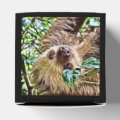 Ballotins Sloth peint (Haut)