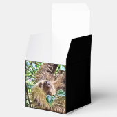 Ballotins Sloth peint (Ouvert)
