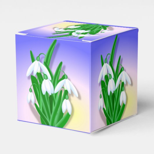 Ballotins Snowdrops (Verso)