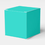Ballotins Solide clair turquoise (Verso)