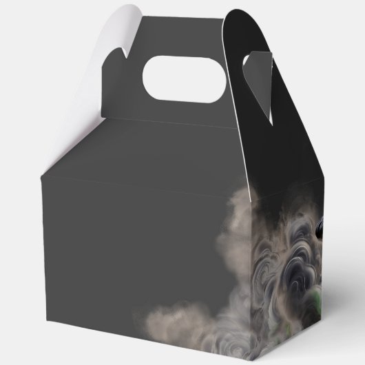 Ballotins Sorcière avec Burning Cauldron Halloween (Verso)