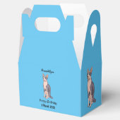 Ballotins Sphynx cat (Ouvert)