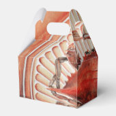 Ballotins Spike, le monde lourd du monde (Arrière)