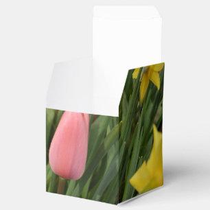 Ballotins sprk tulip and yellow daffodil flowers