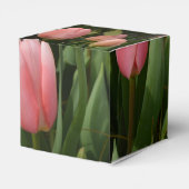 Ballotins sprk tulip and yellow daffodil flowers (Arrière)