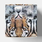 Ballotins Style de presse graphique Wild Tiger Portrait (Haut)