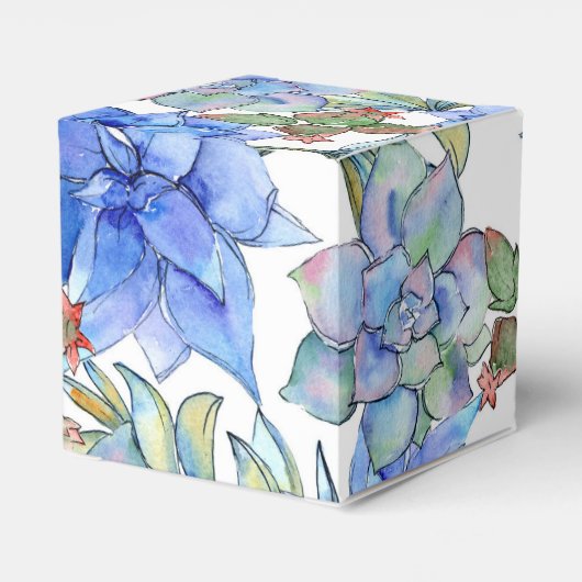 Ballotins Succulentes (Arrière)