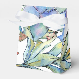 Ballotins Succulents