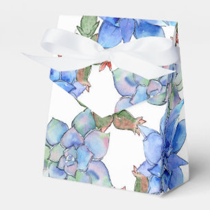 Ballotins Succulents