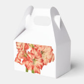 Ballotins Sucre de canne sur un Ballotin Gable (Arrière)