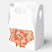 Ballotins Sucre de canne sur un Ballotin Gable (Ouvert)