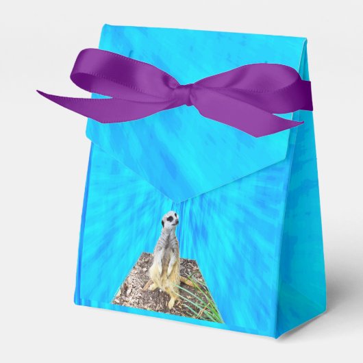 Ballotins Suricate sur fond bleu épongé, (Verso)